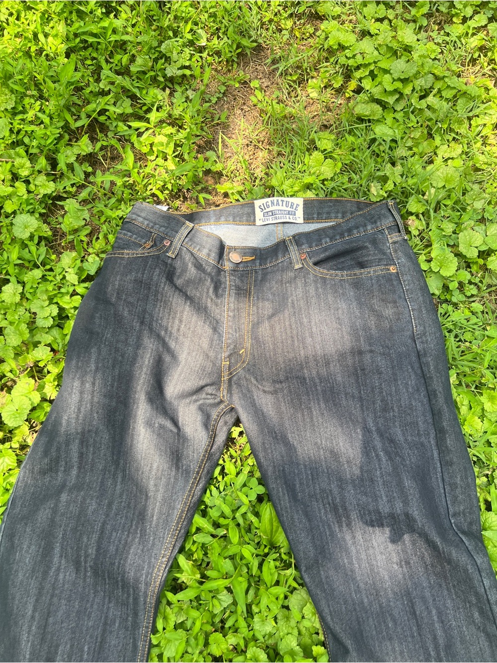 Signature by Levi Strauss Men's Straight Jeans in Dark Blue Wash